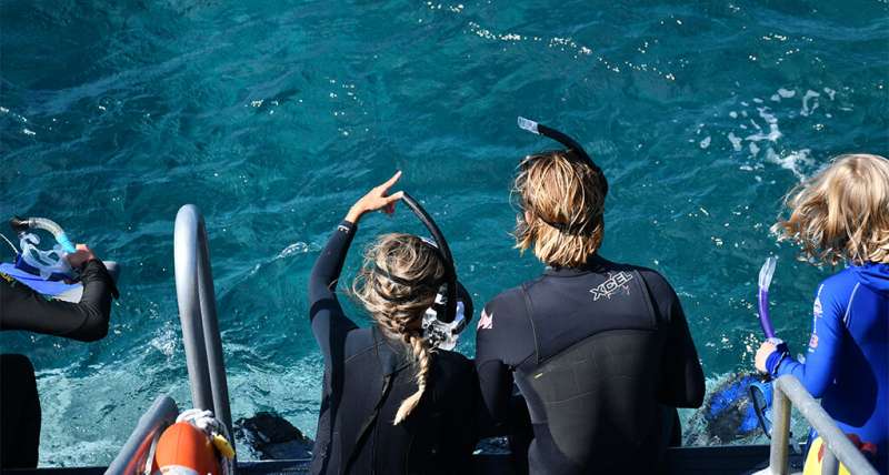 Snorkel en la Isla del Caño - Excursiones y tours en Uvita